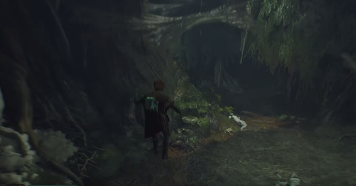 Heading to spider's lair in fallen Order