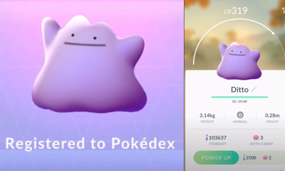 ditto disguises 2021 ditto disguises 2021