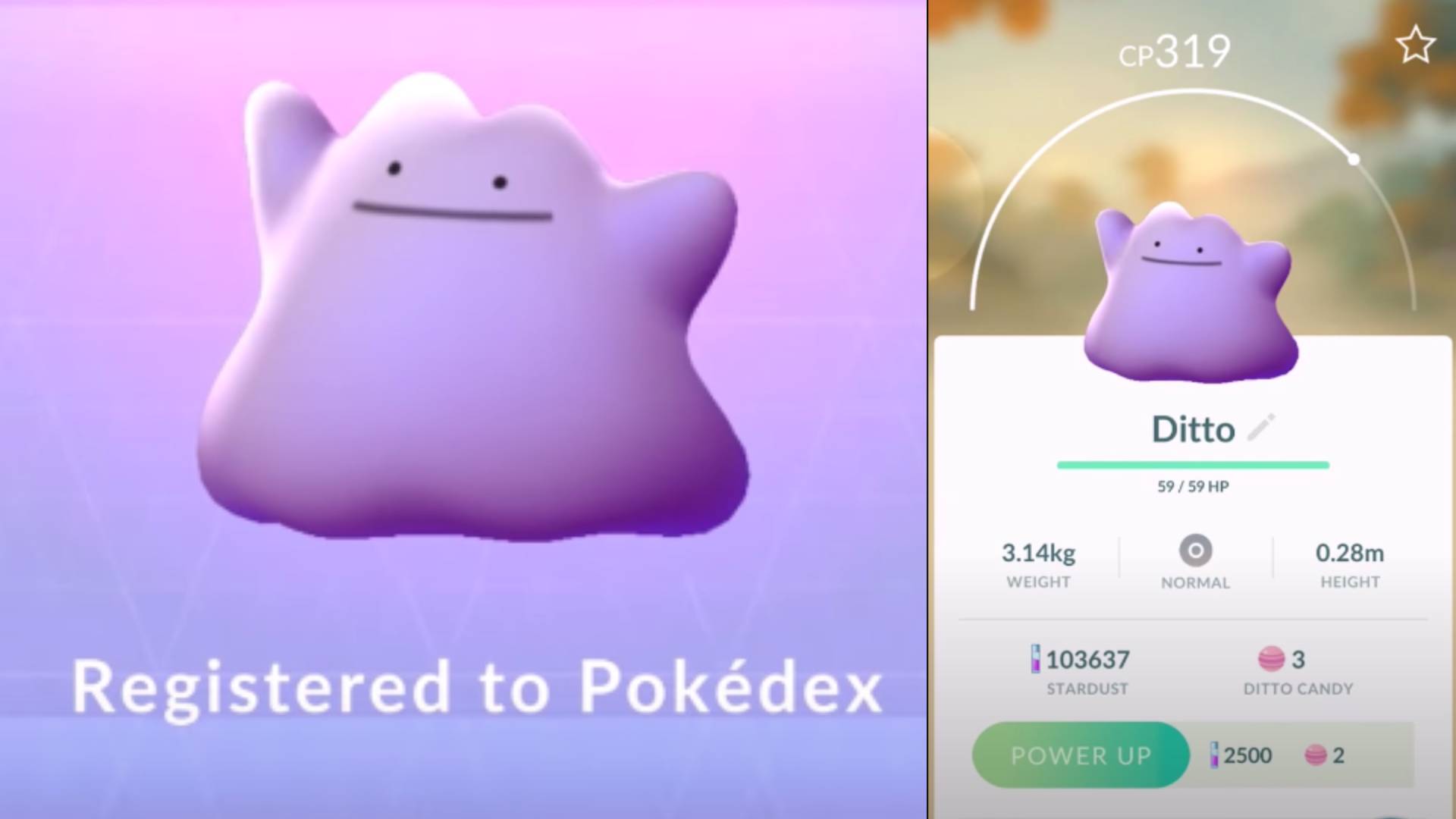 Ditto Pokemon Go newstempo