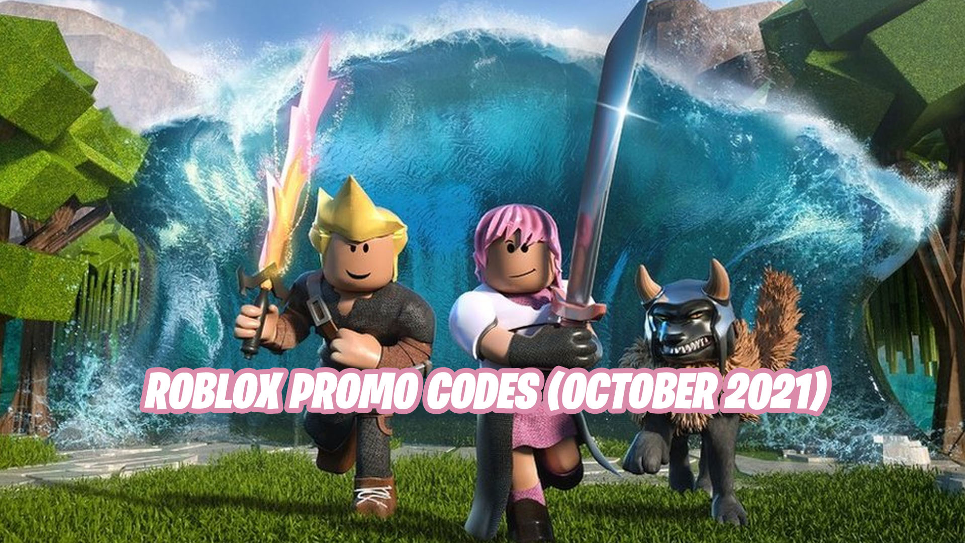 Codes roblox 2021 promo How to