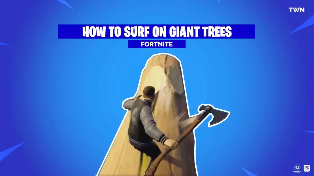 How to surf on giant trees