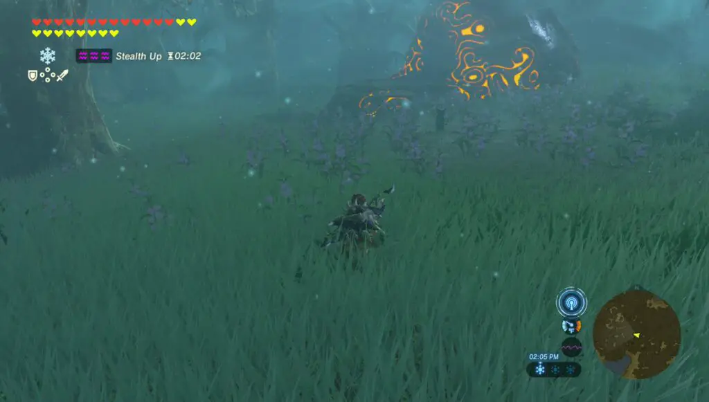 Zelda Breath Of The Wild: How To Complete The Daag Chokah Shrine Quest?