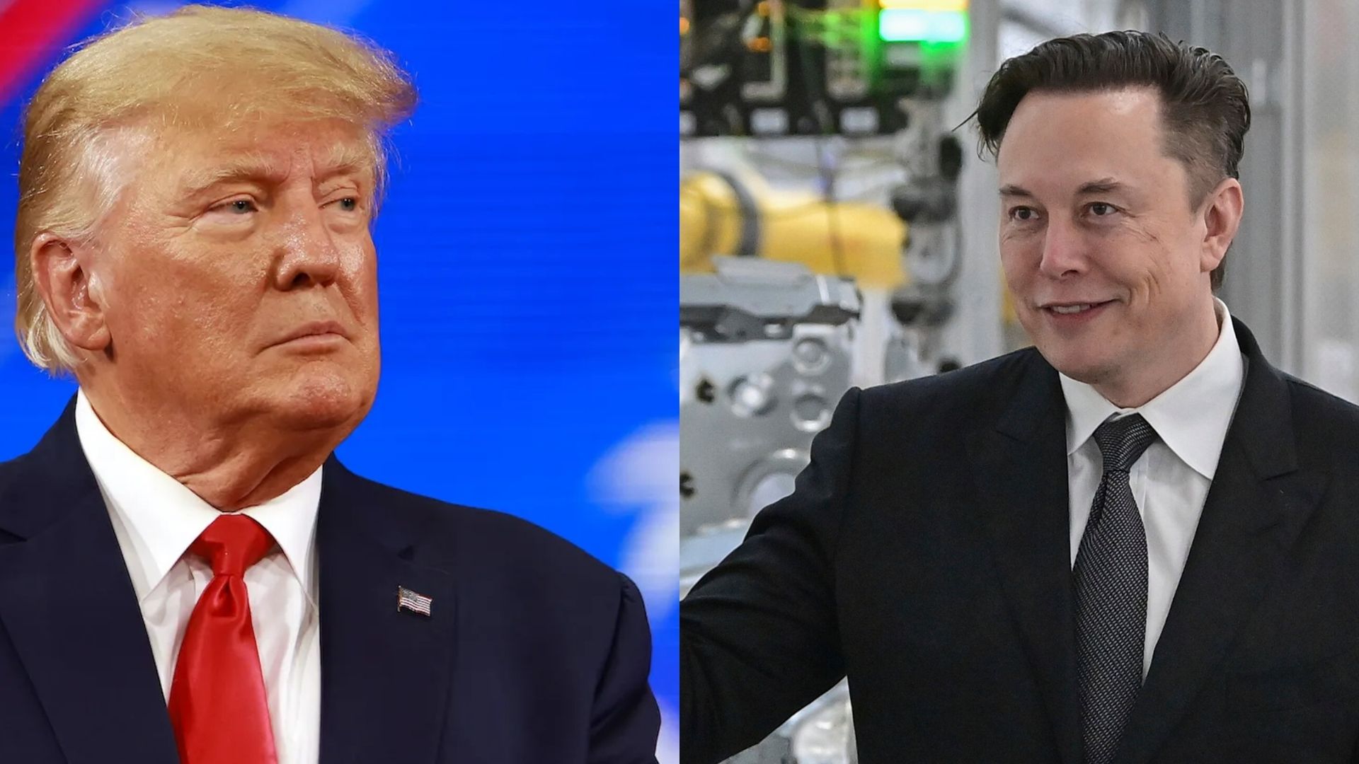 Trump believes Elon Musk will back out of his Twitter deal