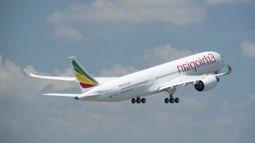 Ethiopian Airlines aeroplane misses landing because pilots slept on the flight