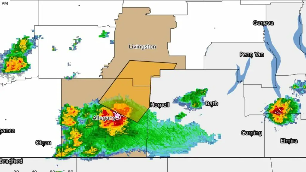The county of Livingston has been issued a severe thunderstorm warning