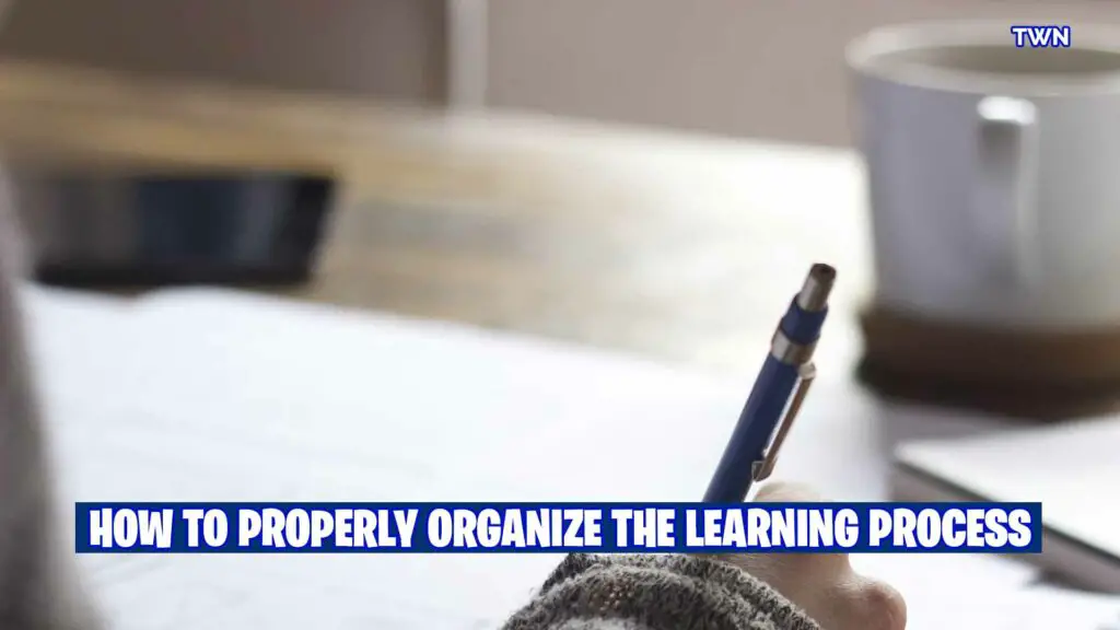 How to Properly Organize the Learning Process