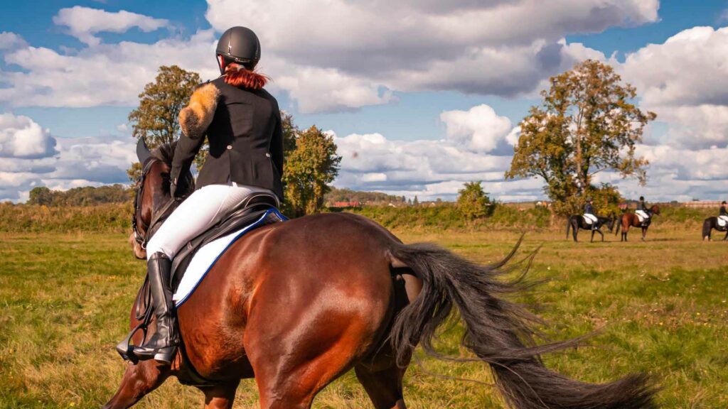 Female horse jockey