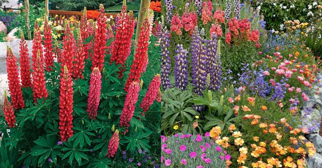 21 Hardy Perennials That Come Back Stronger Every Year 21 Hardy Perennials That Come Back Stronger Every Year